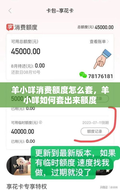 羊小咩消费额度怎么套，羊小咩如何套出来额度