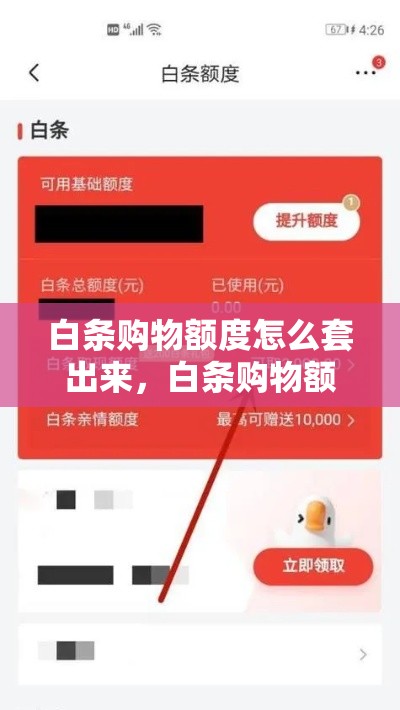 白条购物额度怎么套出来,白条购物额度如何套出来