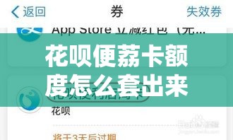 花呗便荔卡额度怎么套出来，花呗便利店周卡使用范围