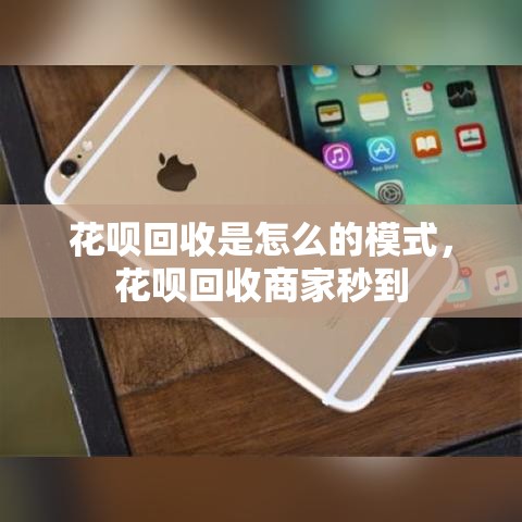 白条消费额度取现，白条额度取出