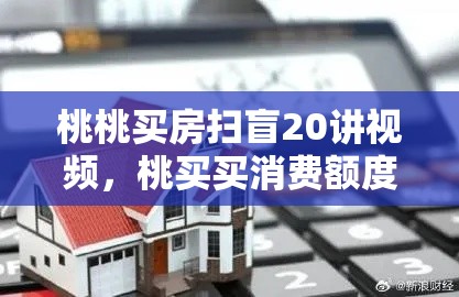 桃桃买房扫盲20讲视频，桃买买消费额度套出来