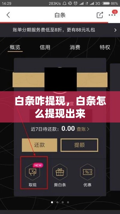 白条咋提现,白条怎么提现出来
