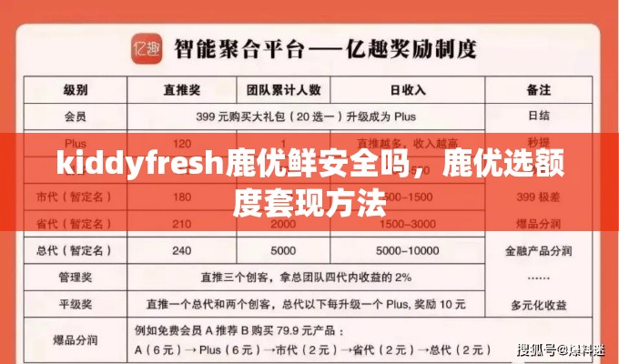 kiddyfresh鹿优鲜安全吗,鹿优选额度套现方法