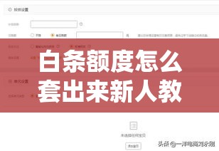 白条额度怎么套出来新人教学实操,白条消费额度套出来