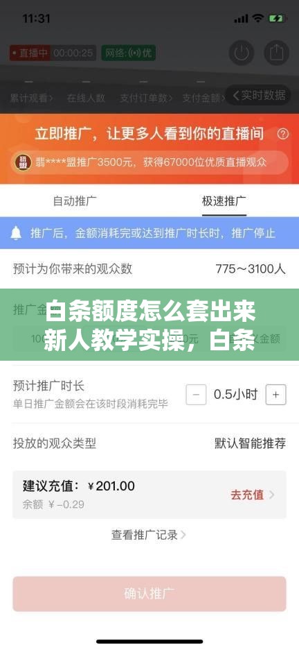 白条额度怎么套出来新人教学实操,白条消费额度套出来