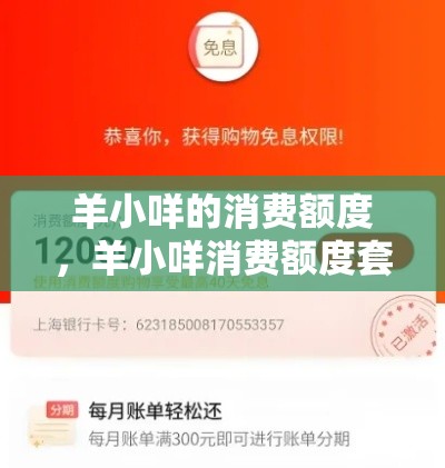 羊小咩的消费额度，羊小咩消费额度套出来