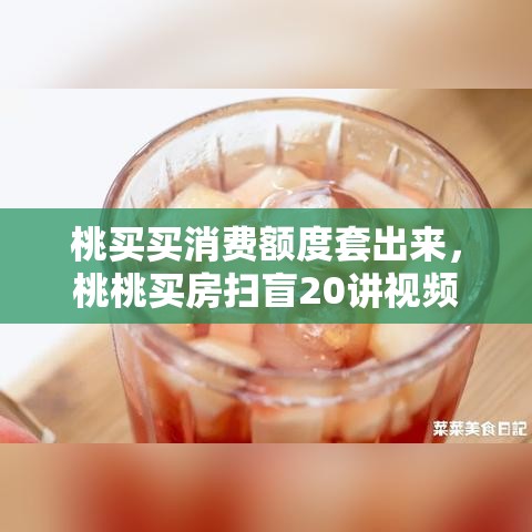 桃买买消费额度套出来，桃桃买房扫盲20讲视频