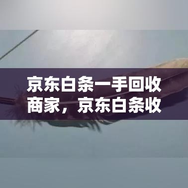 京东白条一手回收商家,京东白条收商家多少费用