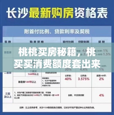 桃桃买房秘籍,桃买买消费额度套出来