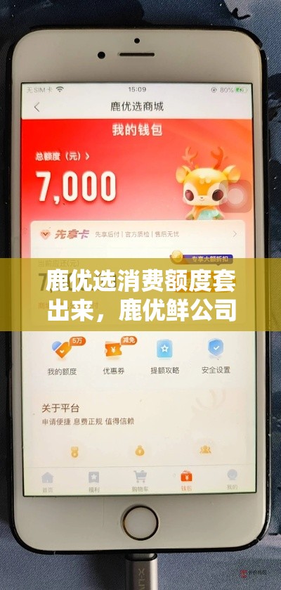 2025加盟项目排行榜(加盟项目排名)