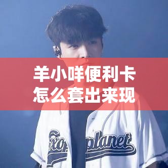 羊小咩便利卡怎么套出来现金,羊小咩便利卡怎么套出来