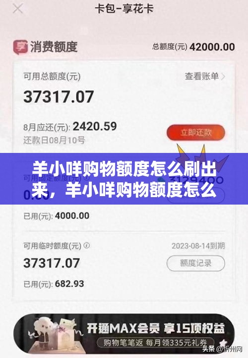 羊小咩购物额度怎么刷出来，羊小咩购物额度怎么刷出来ku安诚小铺ni助富掌柜