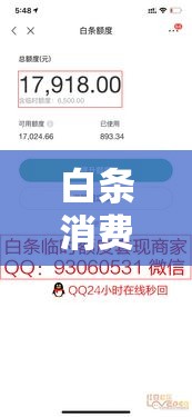 白条消费额度取现,白条取现额度是什么意思