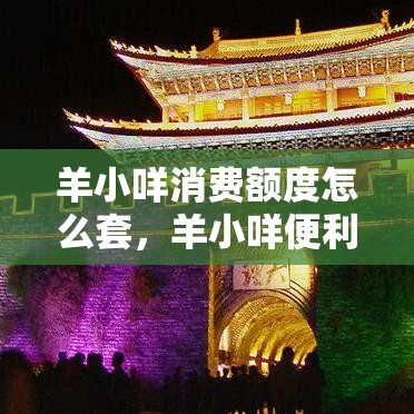 羊小咩消费额度怎么套,羊小咩便利卡怎么套出来