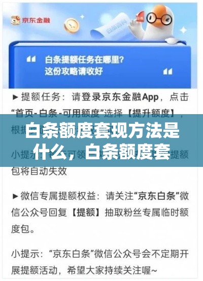 白条额度套现方法是什么,白条额度套现方法