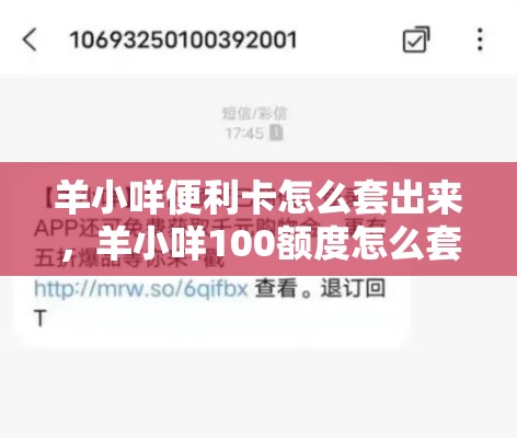 羊小咩便利卡怎么套出来，羊小咩100额度怎么套