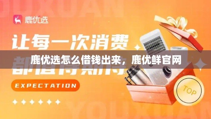 显卡品牌2025排行榜，显卡品牌排行榜2021