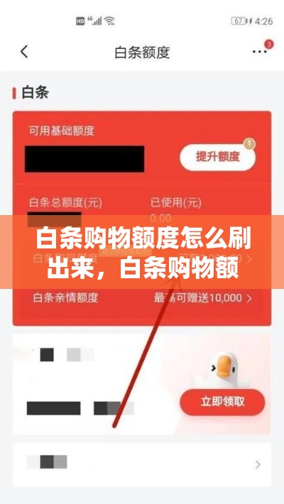 白条购物额度怎么刷出来，白条购物额度如何套出来