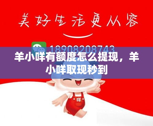 羊小咩有额度怎么提现,羊小咩取现秒到