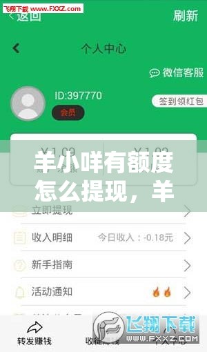 羊小咩有额度怎么提现，羊小咩取现秒到