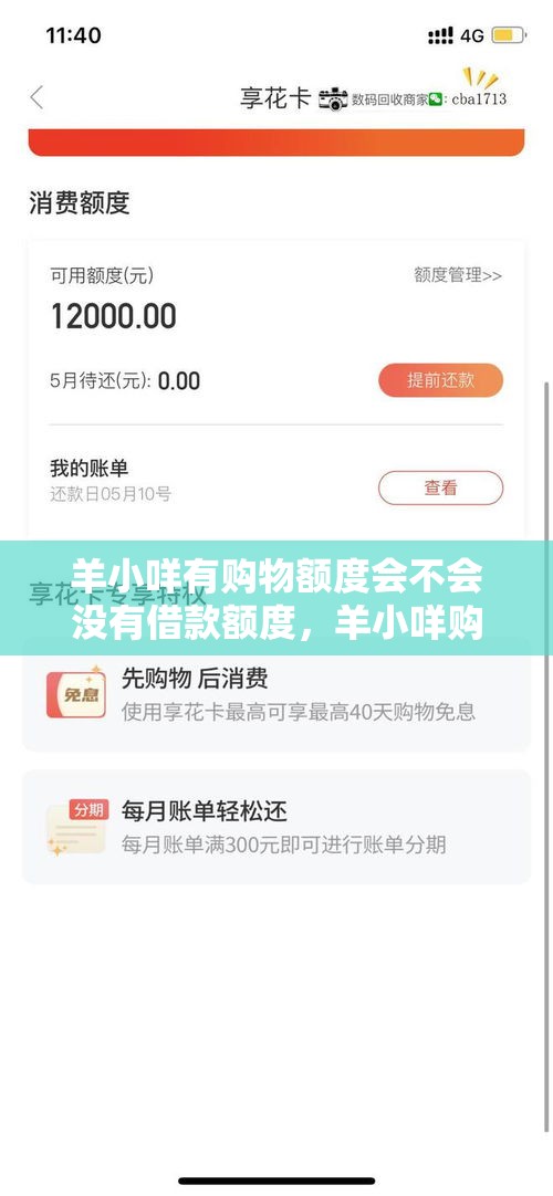 羊小咩有购物额度会不会没有借款额度,羊小咩购物额度怎么套出来