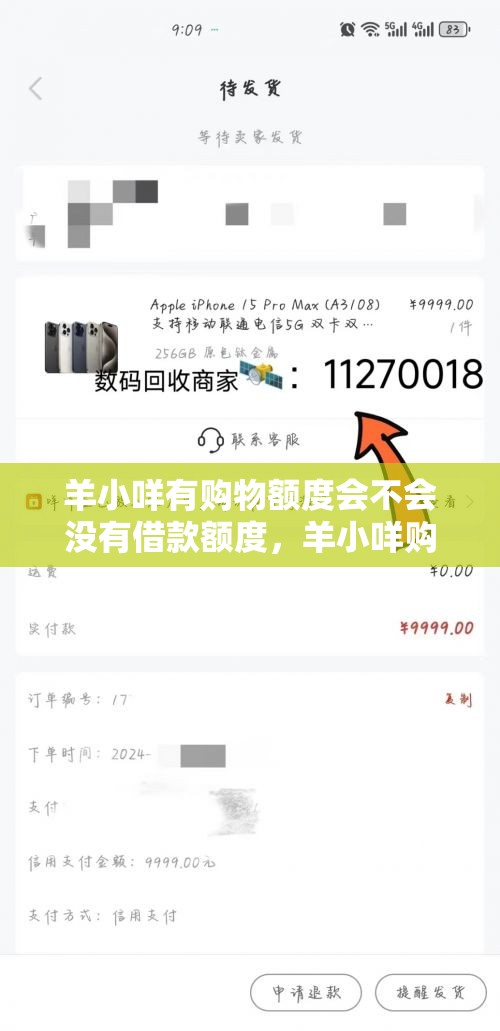 羊小咩有购物额度会不会没有借款额度，羊小咩购物额度怎么套出来