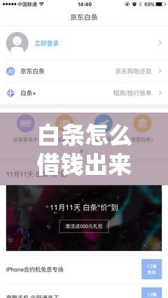 白条怎么借钱出来,白条怎么借钱出来 京东