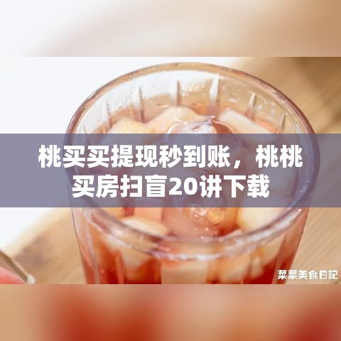 桃买买提现秒到账，桃桃买房扫盲20讲下载