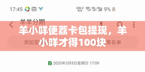 羊小咩便荔卡包提现，羊小咩才得100块