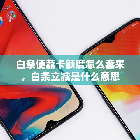 白条便荔卡额度怎么套来,白条立减是什么意思