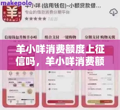 羊小咩消费额度上征信吗，羊小咩消费额度套出来