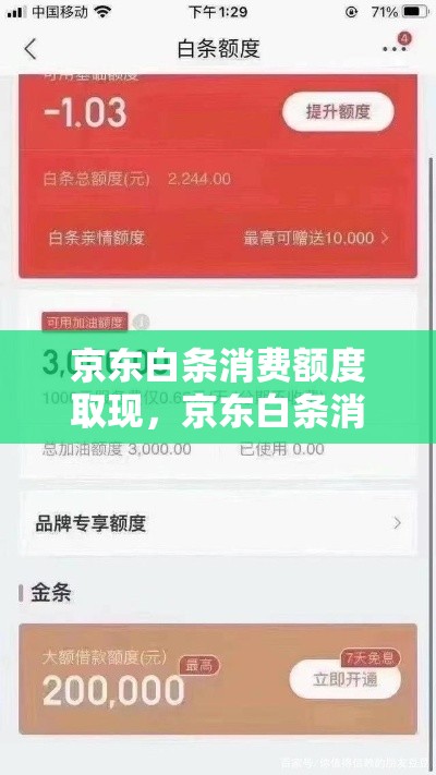 京东白条消费额度取现，京东白条消费额度取现多久到账