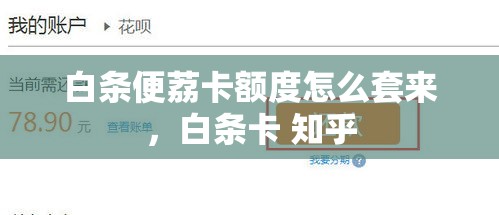 白条便荔卡额度怎么套来，白条卡 知乎