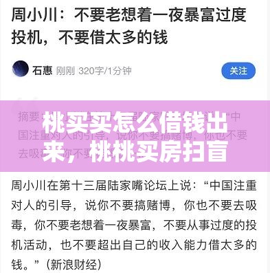 桃买买怎么借钱出来，桃桃买房扫盲20讲下载