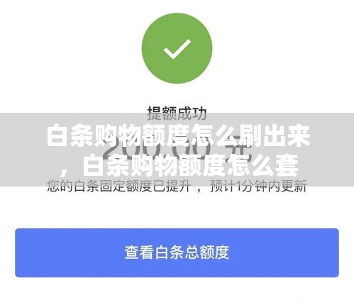 白条购物额度怎么刷出来，白条购物额度怎么套