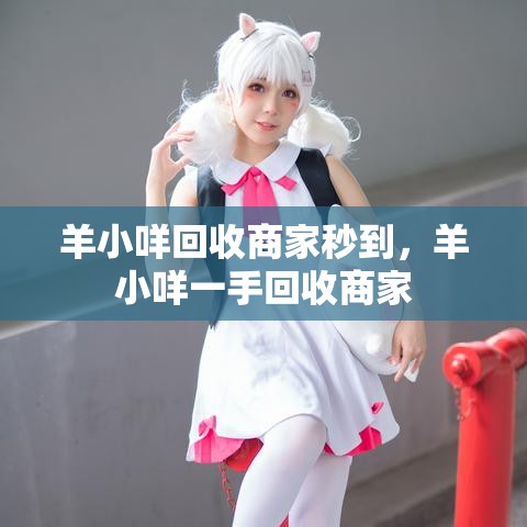 羊小咩回收商家秒到，羊小咩一手回收商家