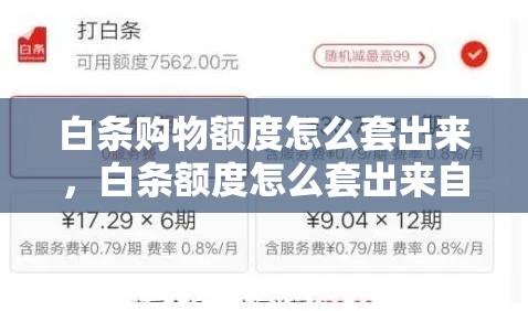 白条购物额度怎么套出来，白条额度怎么套出来自己用京东白条套取方法步骤