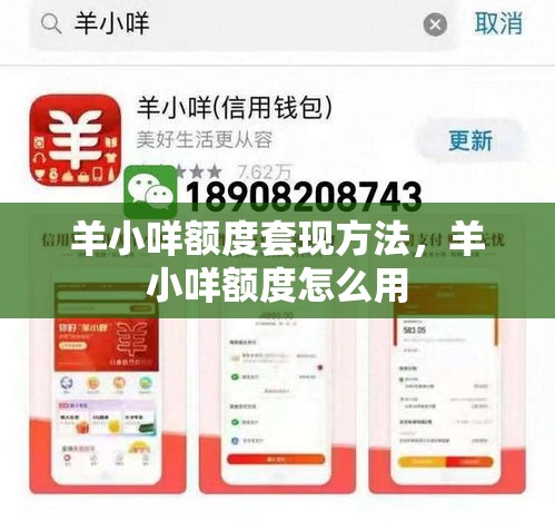 羊小咩额度套现方法，羊小咩额度怎么用