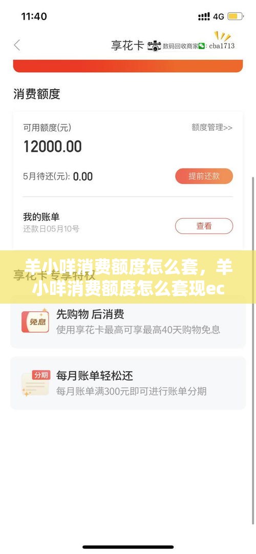 羊小咩消费额度怎么套，羊小咩消费额度怎么套现ec安诚小铺wv助富掌柜