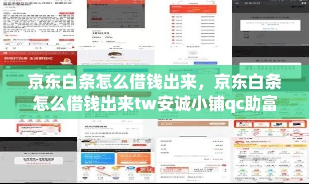 京东白条怎么借钱出来，京东白条怎么借钱出来tw安诚小铺qc助富掌柜