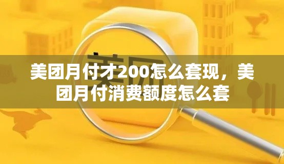 美团月付才200怎么套现，美团月付消费额度怎么套