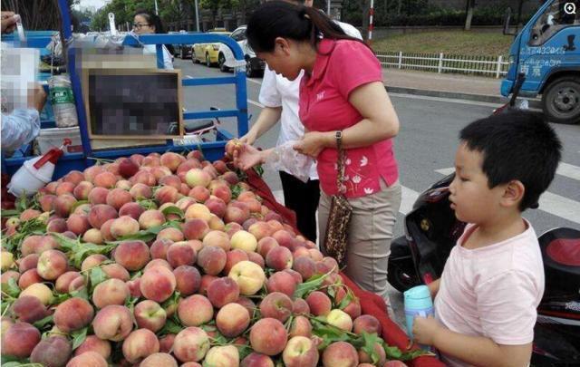 桃买买一手回收商家，买桃啥意思