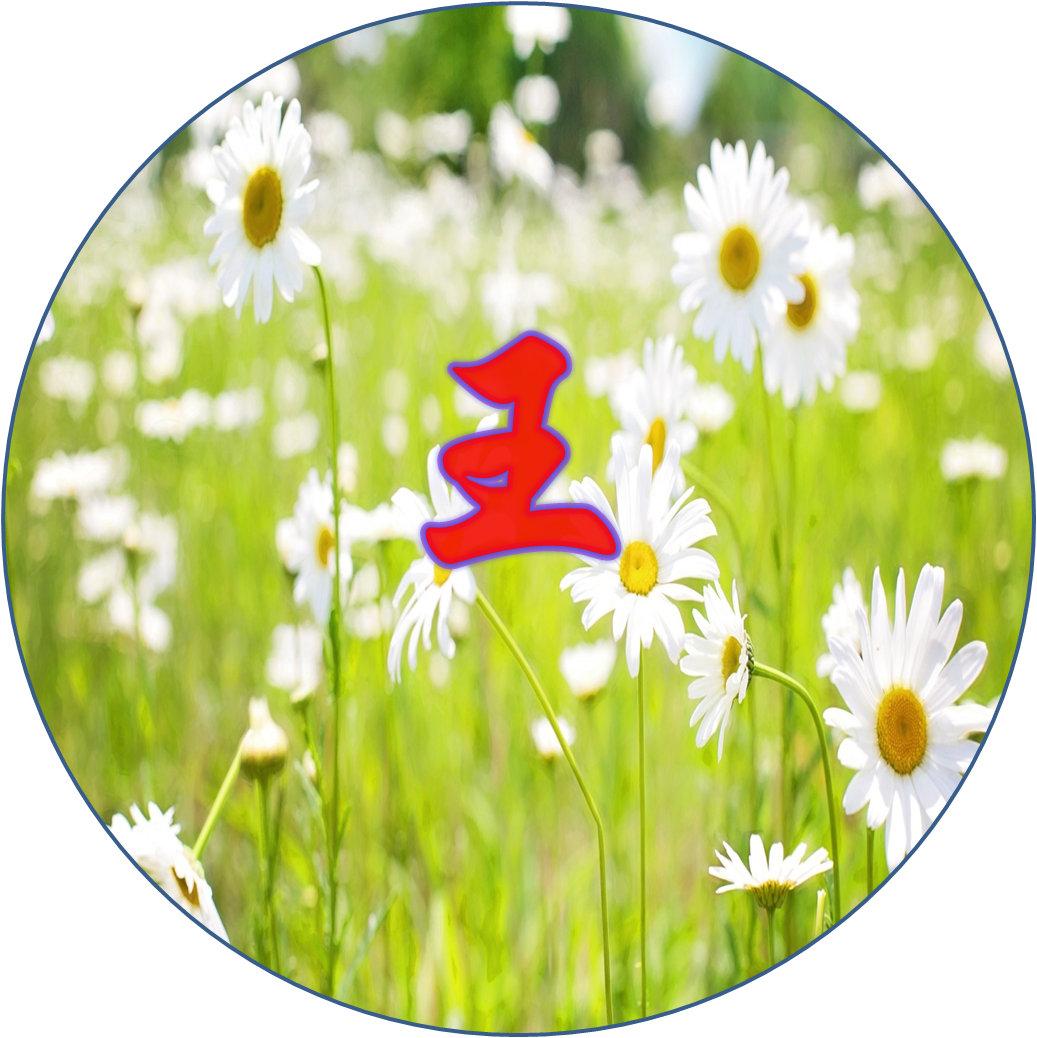 全国姓氏人口排行榜2025,姓排名1-100名(姓氏排名1一500名)