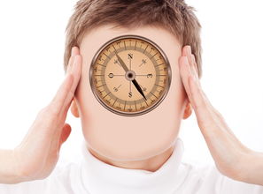 全球十大面孔排行榜2025(世界十大面孔排行 榜)