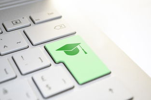 全自动ai写小说，一键上传起点番茄平台