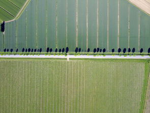 2021窗帘排行榜，窗帘2025年排行榜