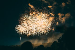 过年的烟花种类，2025过年烟花排行榜前十名