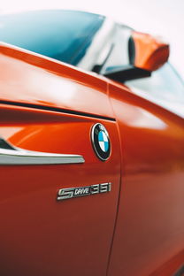 2025油车轿车排行榜前十名，剩油车排行