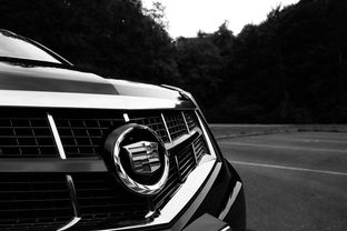 2025车辆降价排行榜，2021年轿车降价款