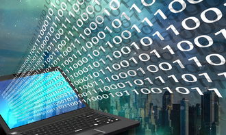 知名的少儿编程有哪些，十大少儿编程排行榜2025年